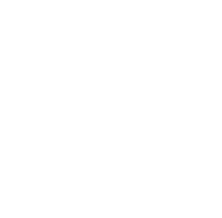 zlz-logo